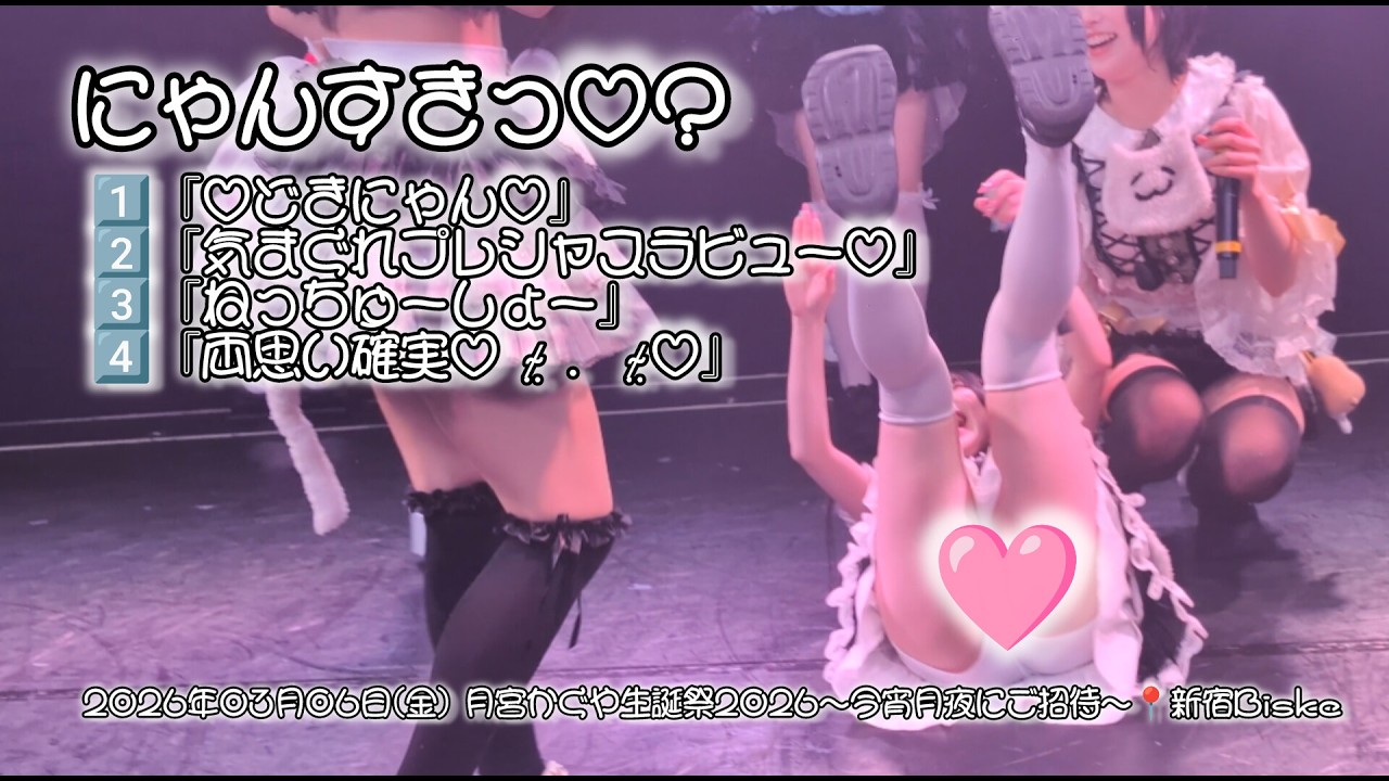 にゃんすきっ♡？ 　2026年03月06日(金)月宮かぐや生誕祭2026〜今宵月夜にご招待～📍新宿Biske【4K】#にゃんすきっ #アイドル  #生誕祭