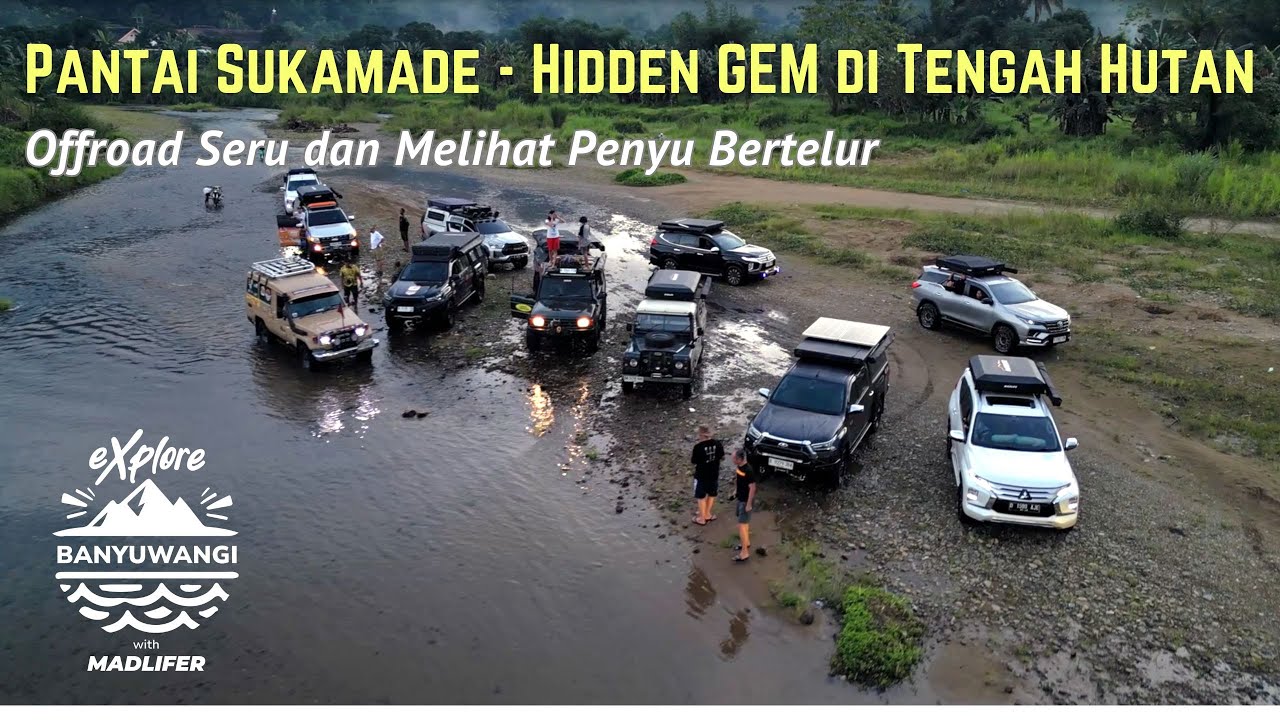 eXplore Banyuwangi with Madlifer : Offroad Seru dan Melihat Penyu Bertelur di Pantai Sukamade