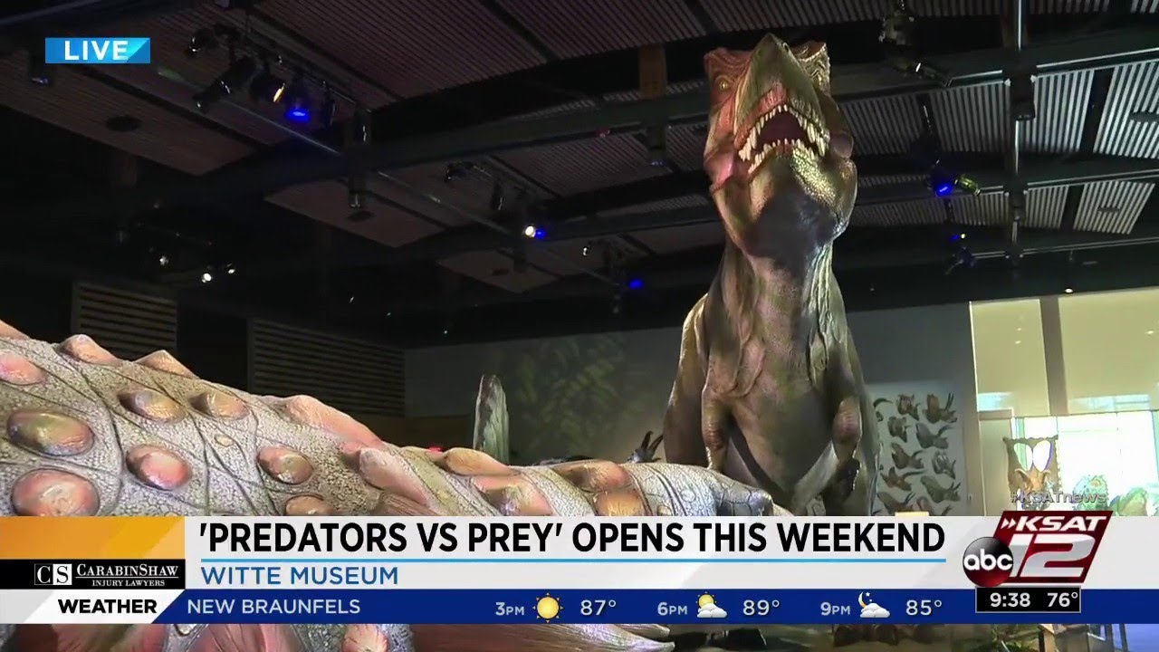 Interactive, animatronic dinosaur exhibit opening at Witte Museum