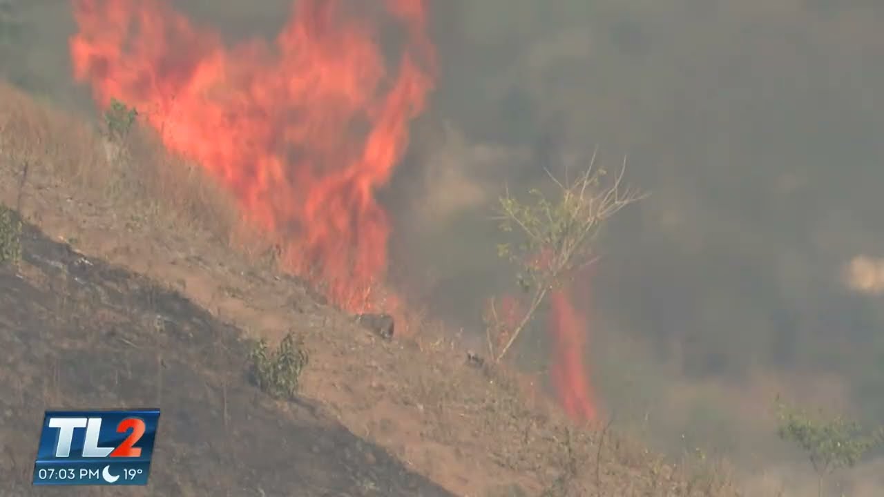 Sofocan incendio en Mejicanos, San Salvador | Teledos | El Salvador