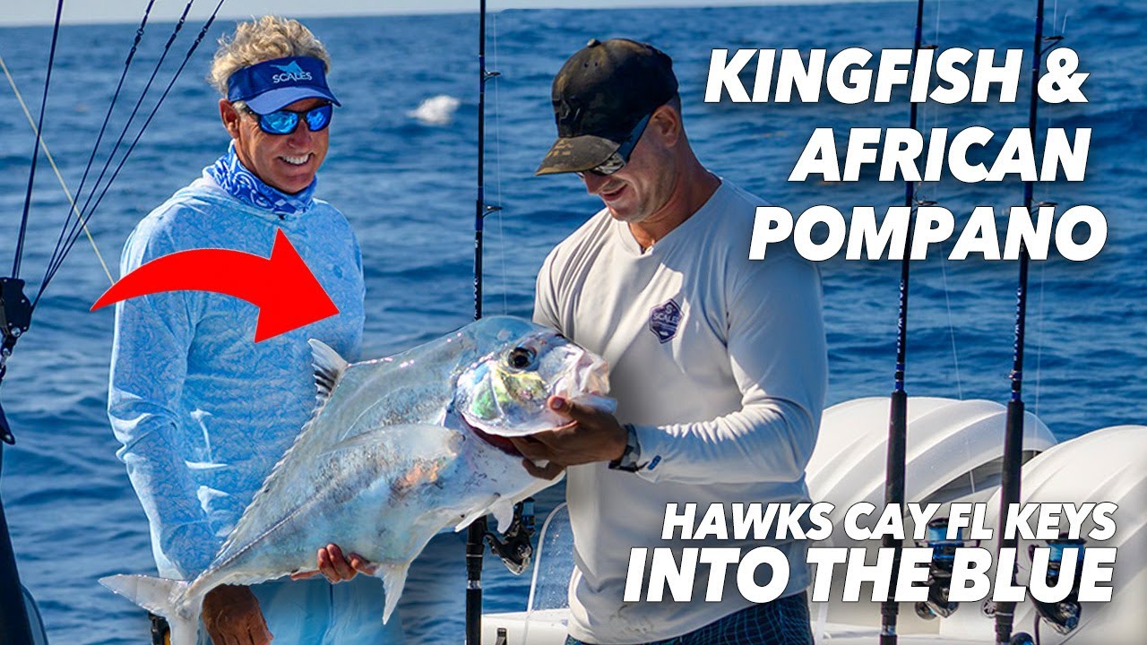 Kingfish & African Pompano - Feat. Mike Schmidt | Into the Blue