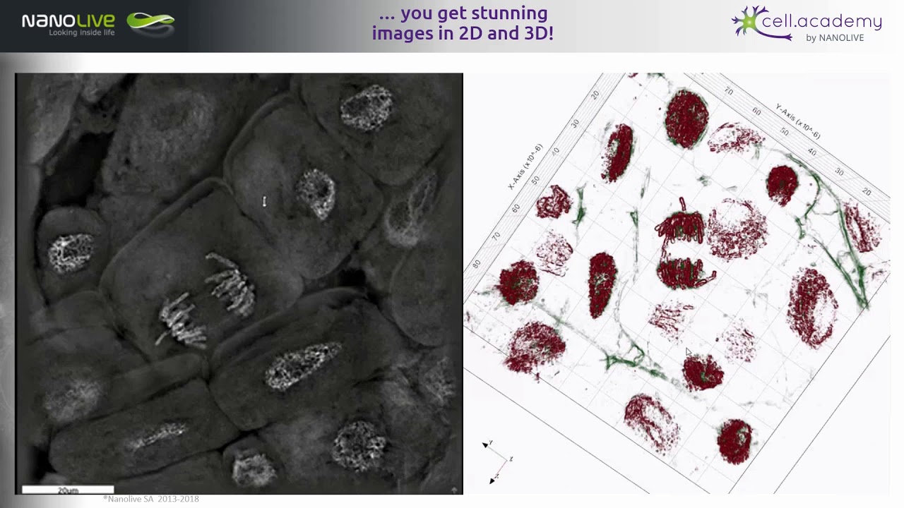 Webinar cell.academy - A 3D Biology Learning Space