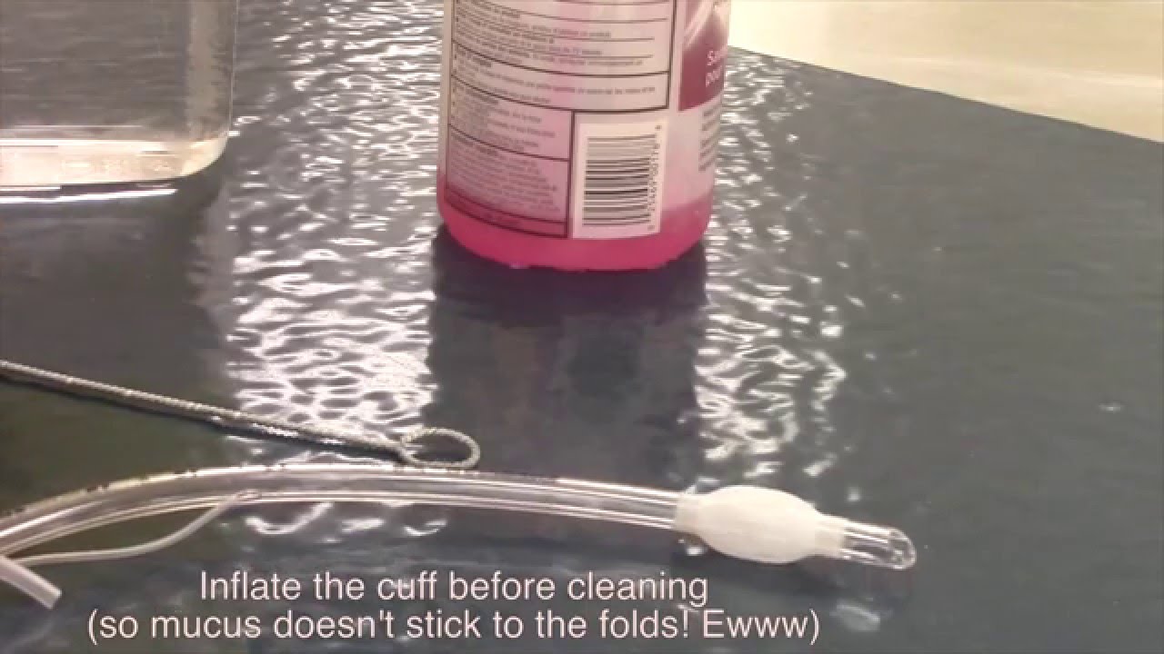 Cleaning Up After Surgery (Veterinary Technician Education)