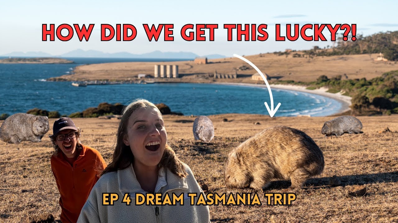 WE FOUND A WOMBAT PARADISE ON MARIA ISLAND, TASMANIA! [EP4]