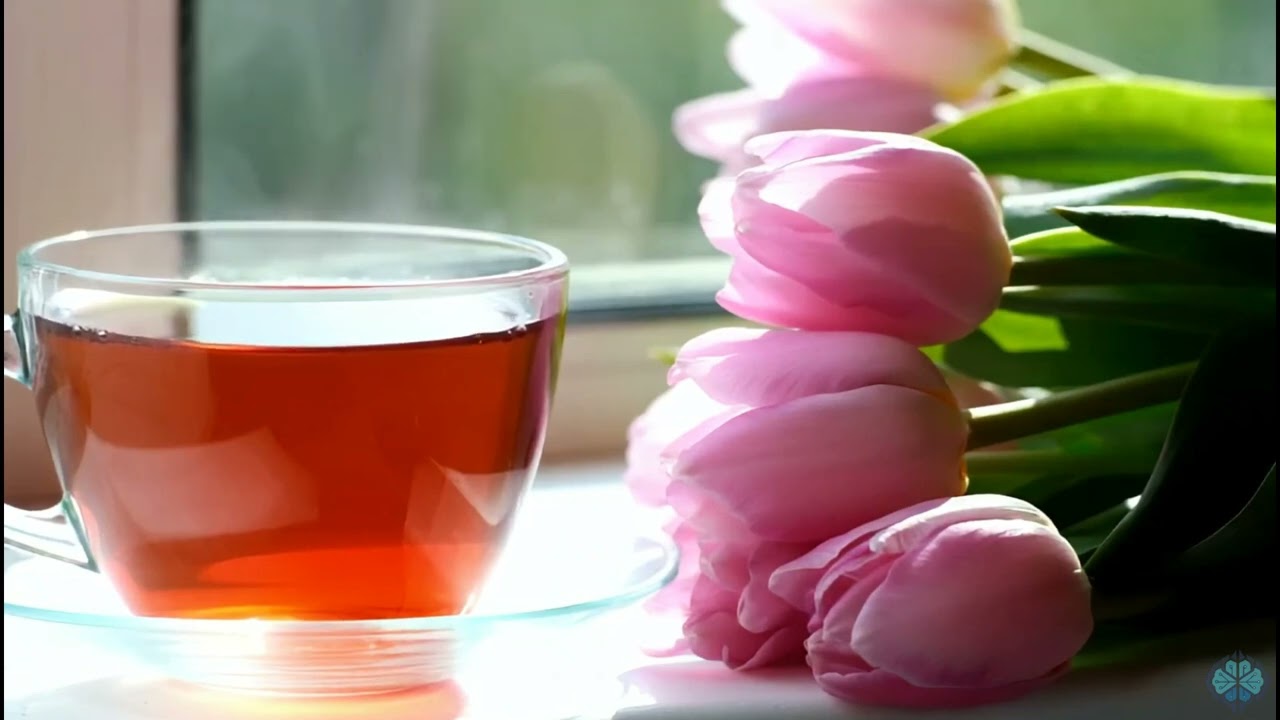 Музыка весны для Работы и Отдыха / Music of Spring for Work and Rest