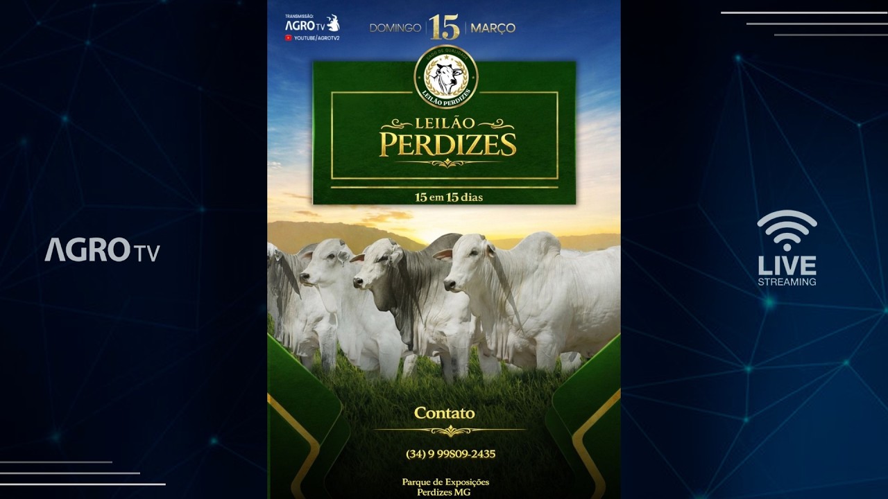 LEIL&Atilde;O PERDIZES - 15/03/2026