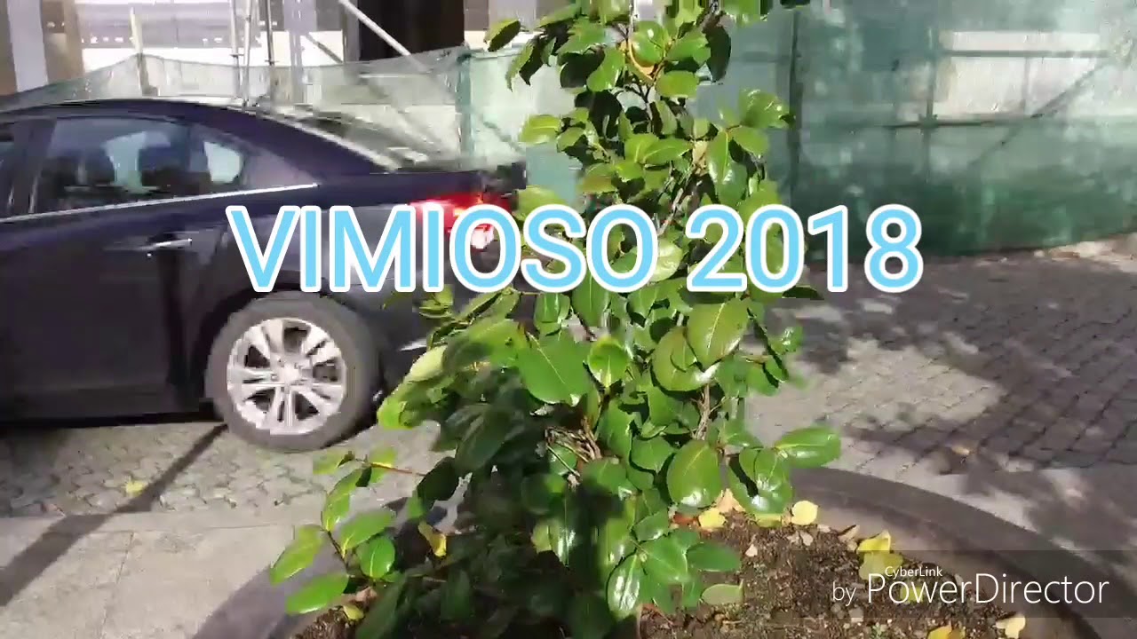 Vimioso 2018