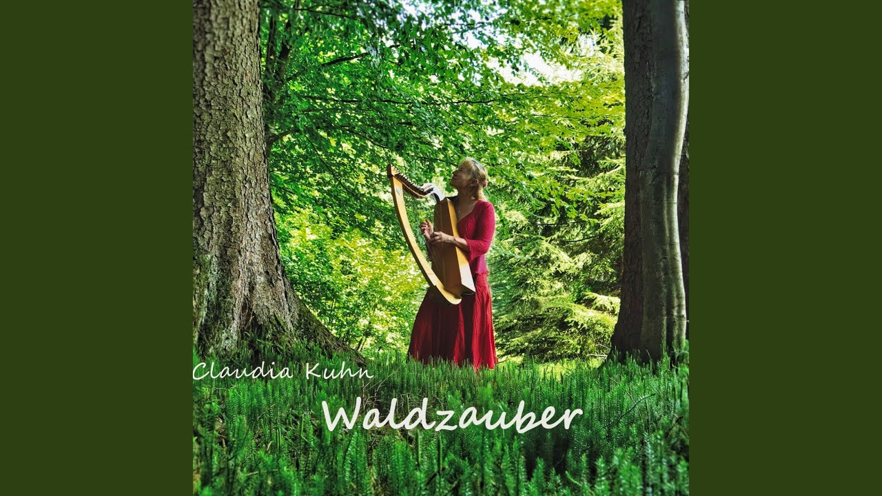 Waldzauber (Jahrholzwald, Grafrath)