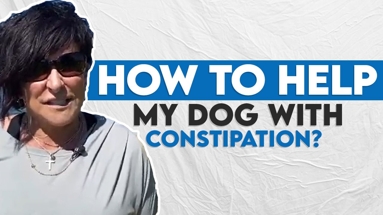How to help my dog with constipation?