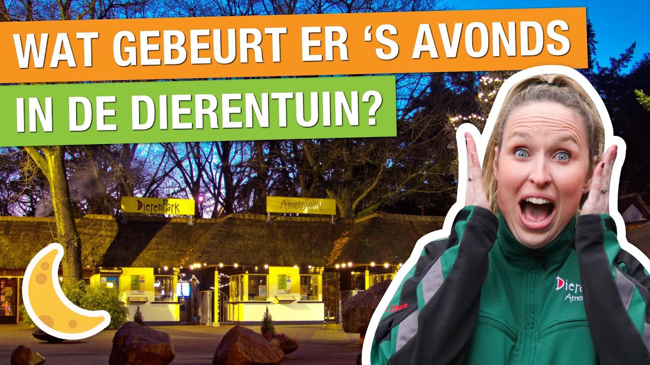 IK WAS ’S NACHTS IN DE DIERENTUIN EN DIT GEBEURDE ER?! 😱🌙 | Carlijns Dierenvraag #37