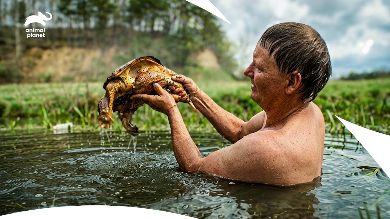 Бобр становится причиной обрушения угольной шахты в Кентукки | Зов дикаря, 1 сезон, 13 серия | An...