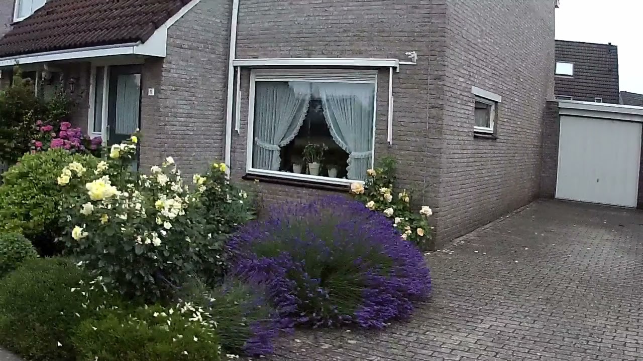 testrit 1-7-2021