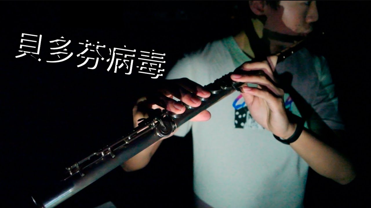 《貝多芬病毒》《Beethoven Virus》｜小平Flute