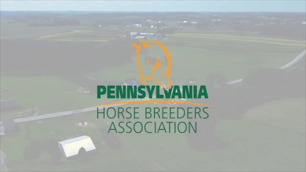 Trainer and Breeder Bernie Houghton on the PHBA