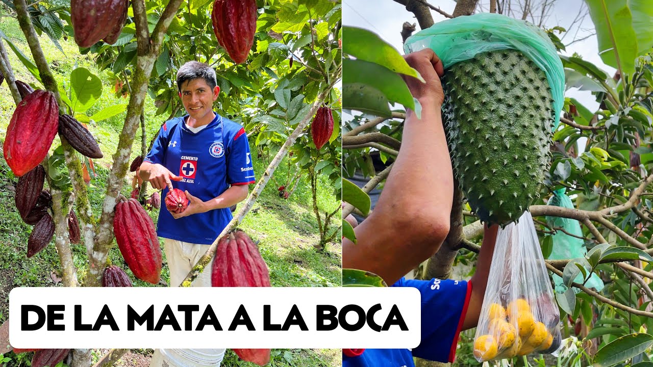 Prefiere la VIDA DE FINCA porque la tierra le da TODO 🍊🍋 Josué y Elie