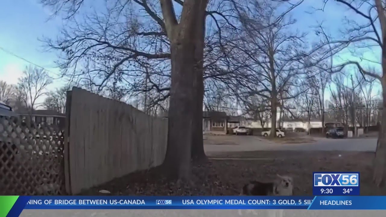 Neighborhood dog leads Louisville police to missing 3-year-old