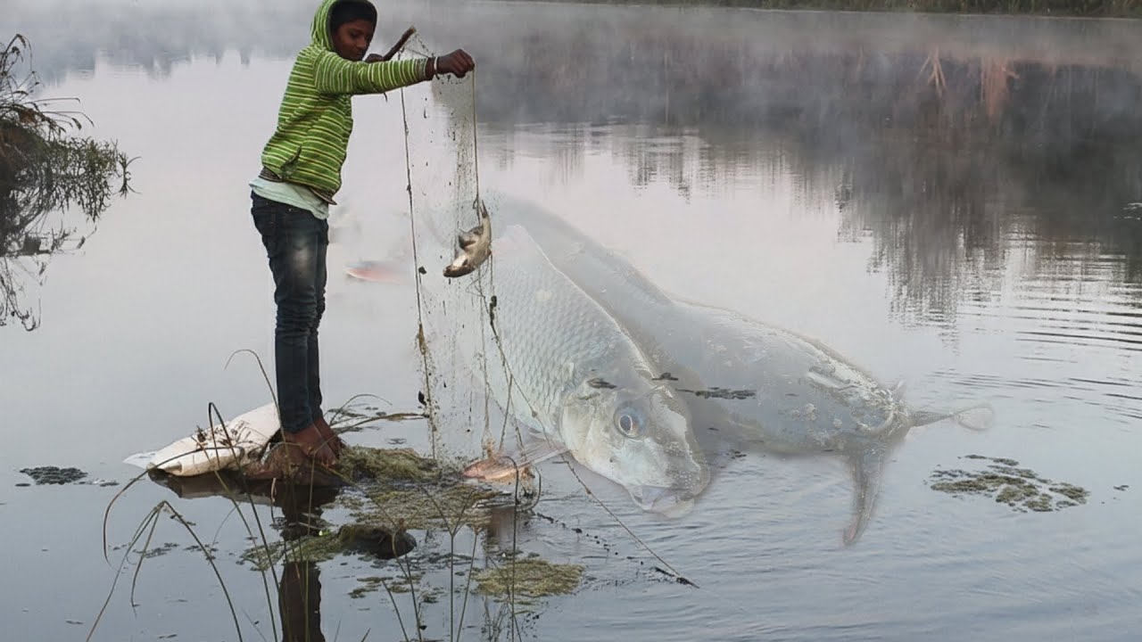 नेट कास्टिंग फर्स्ट टाइम | कतला मछली 🎣| पोलड मछली🐠 | अमेरिकन मछली🐟 | thethar Rajesh 