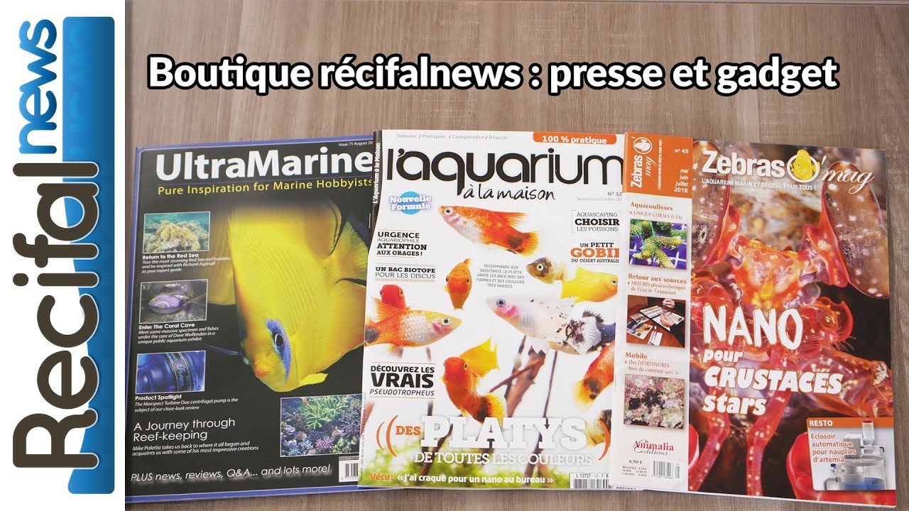 R&eacute;cifal News shop