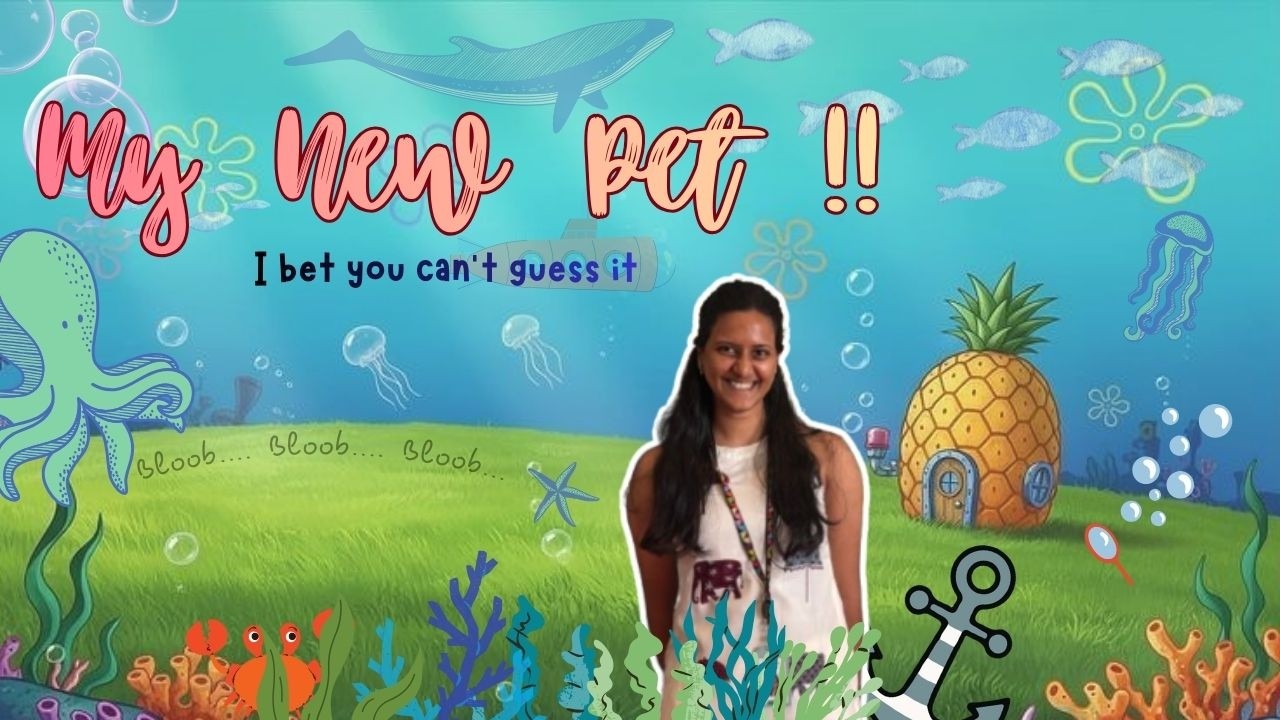 I bought a pet home with my adult money | Budget Friendly Pet