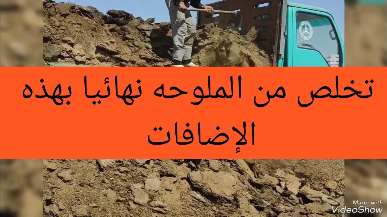 كيفيه التخلص من ملوحه التربه بالإضافات نهائيا.