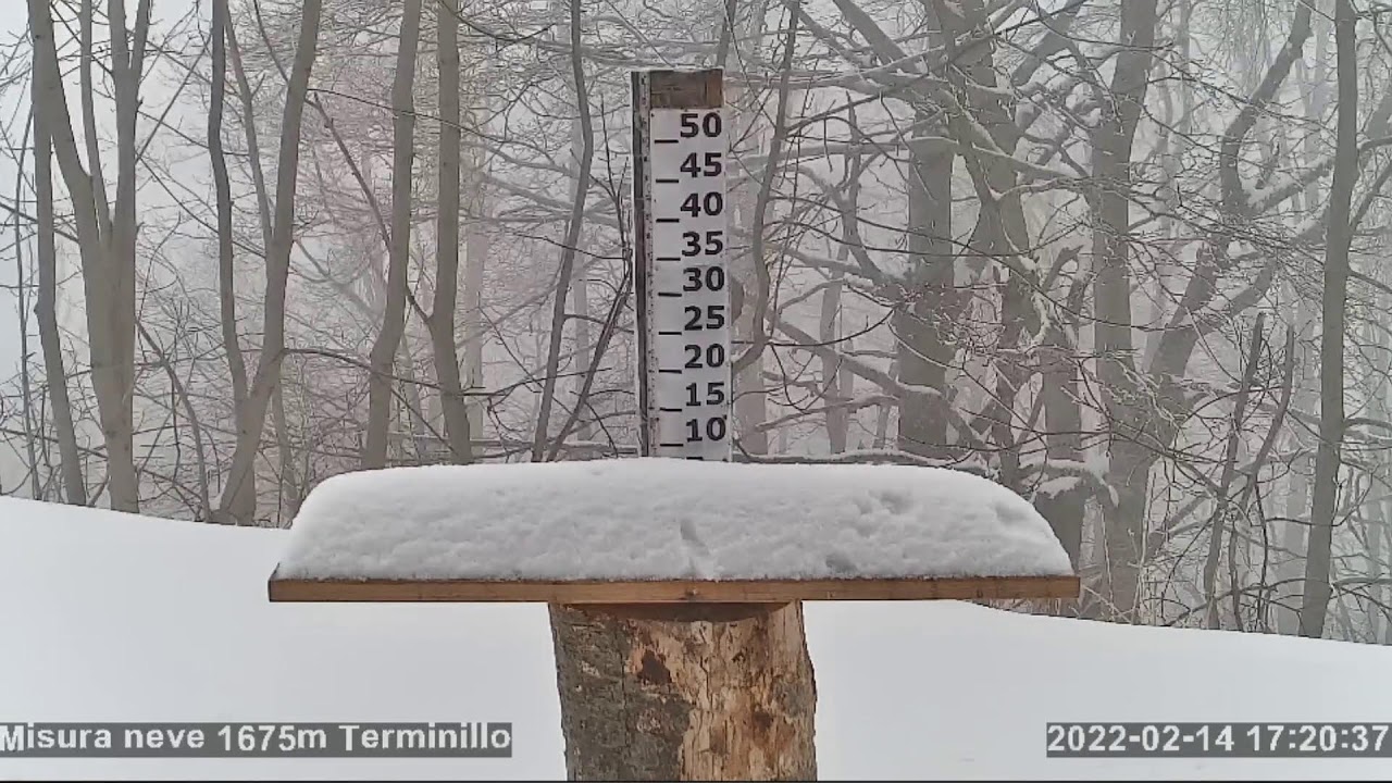 Neve Terminillo Live