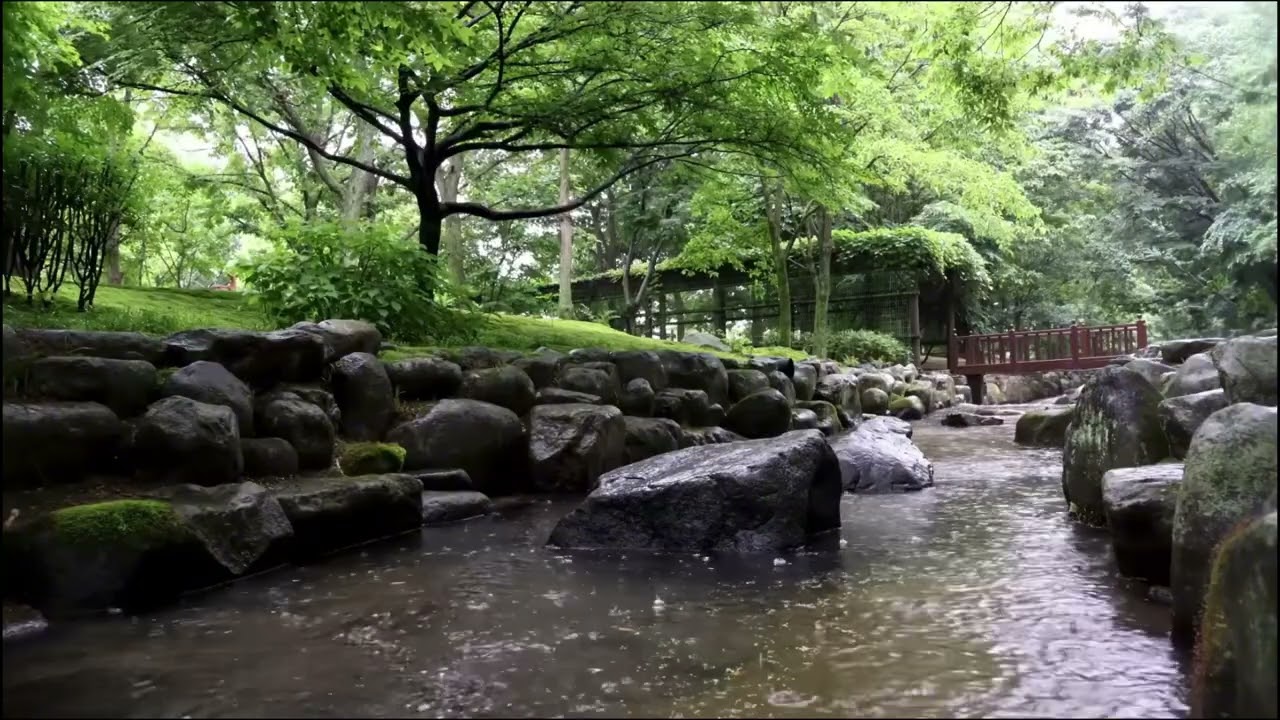 FALL INTO  SLEEP INSTANTLY (SHORT MELODY VIDEO).