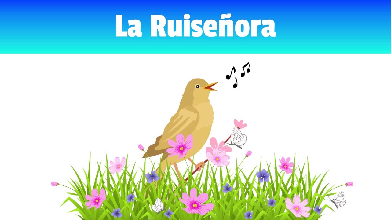 Precioso Cuento relajante Para Dormir 💖 La Ruiseñora