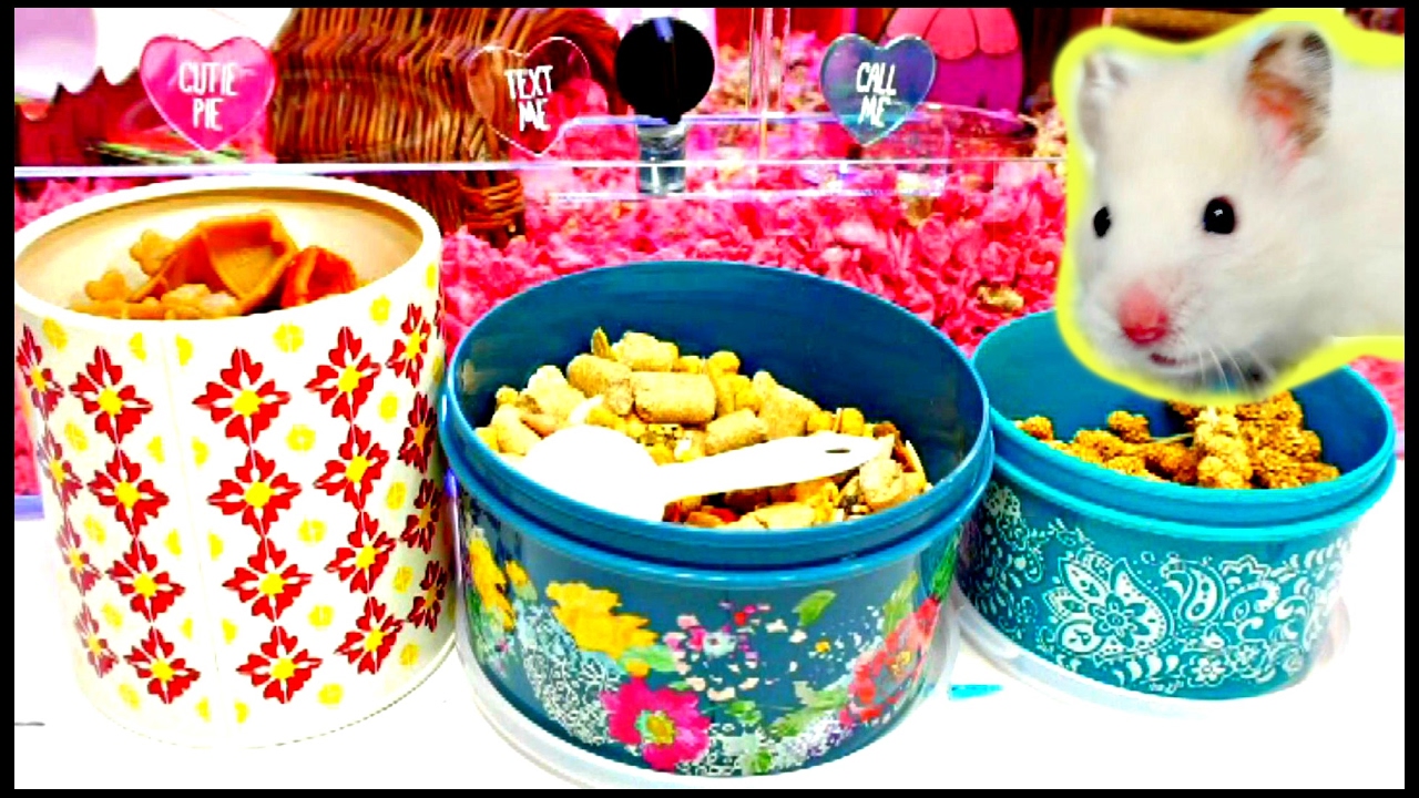 Storing and Organizing my Hamsters Food 🐹