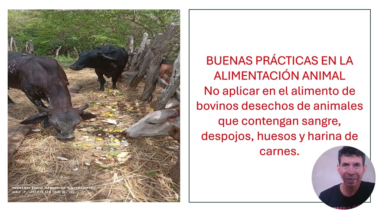 Comentarios en Buenas Practicas Agropecuarias