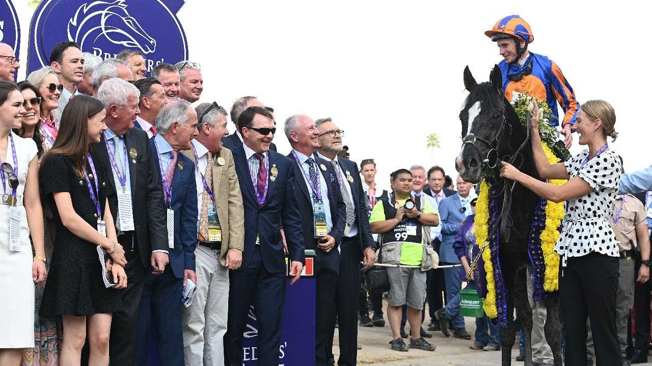 Breeders' Cup 2023 Highlights