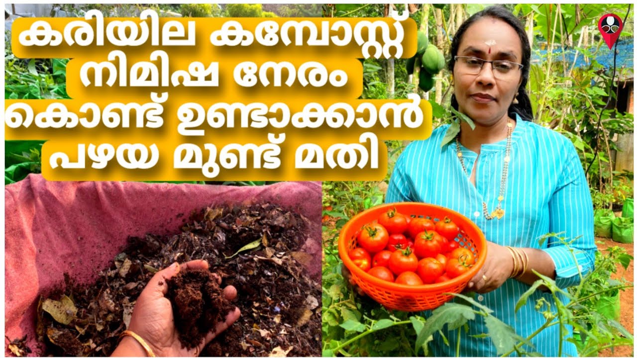 മുണ്ട് വച്ച് കരിയില കമ്പോസ്റ്റ് വളരെ പെട്ടന്ന് ഉണ്ടാക്കാം | Homemade compost making in malayalam