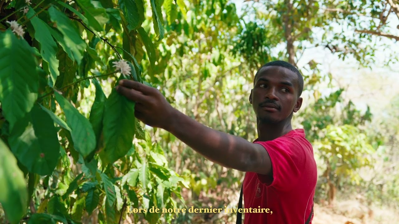 Nosy Komba :  L’île aux lémuriens et aux traditions !