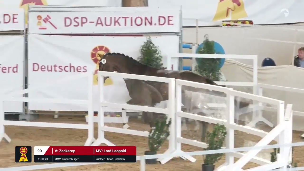 Lot 90 v. Zackerey / Lord Leopold