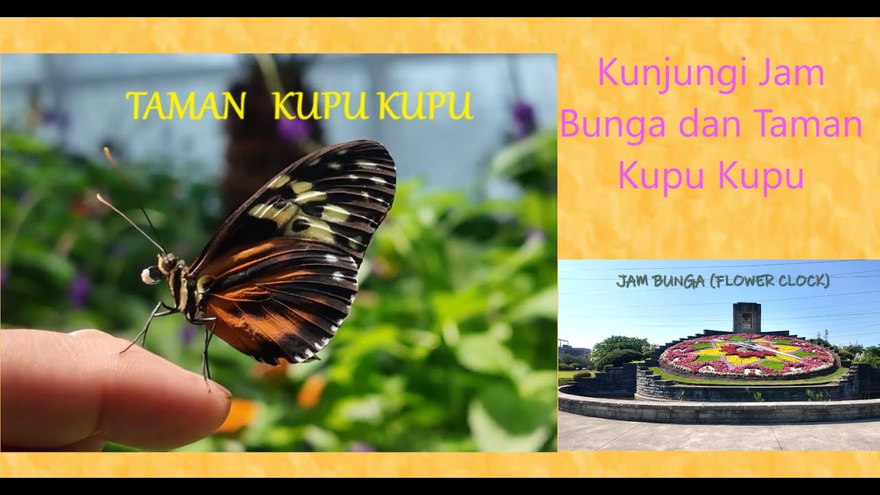 Jam Bunga dan Taman Kupu kupu (Flower clock and Butterfly Garden)