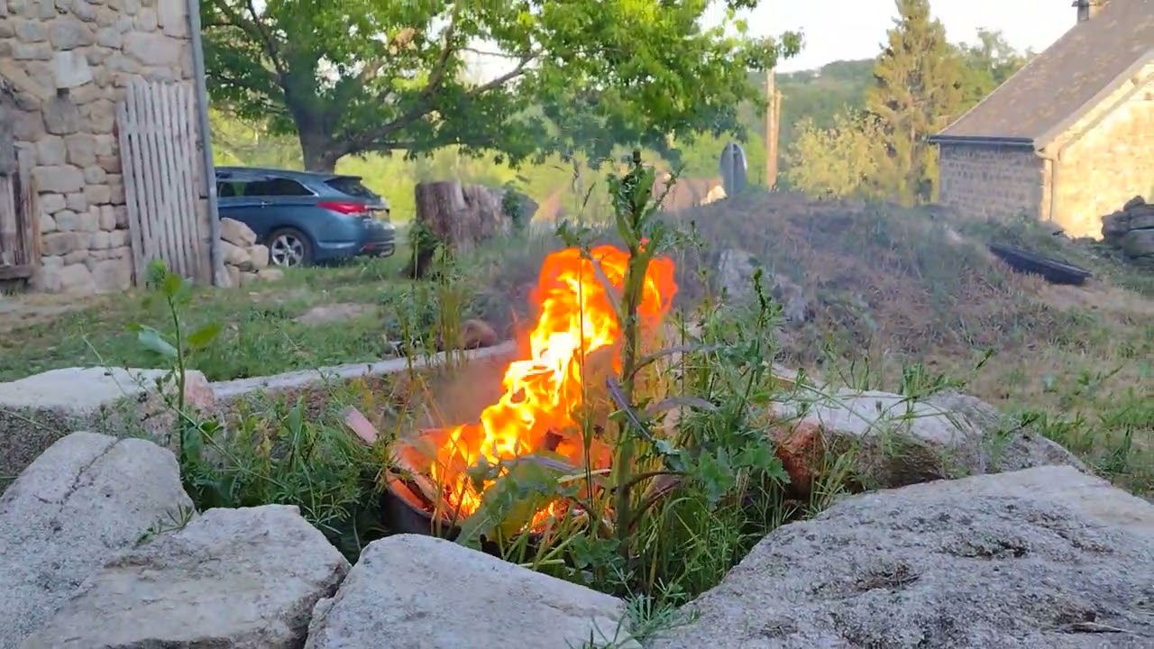 weed clearing the fire 🔥 pit