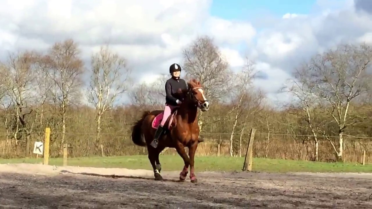 Silje and Sara jump on Forint ❤️☺️☺️