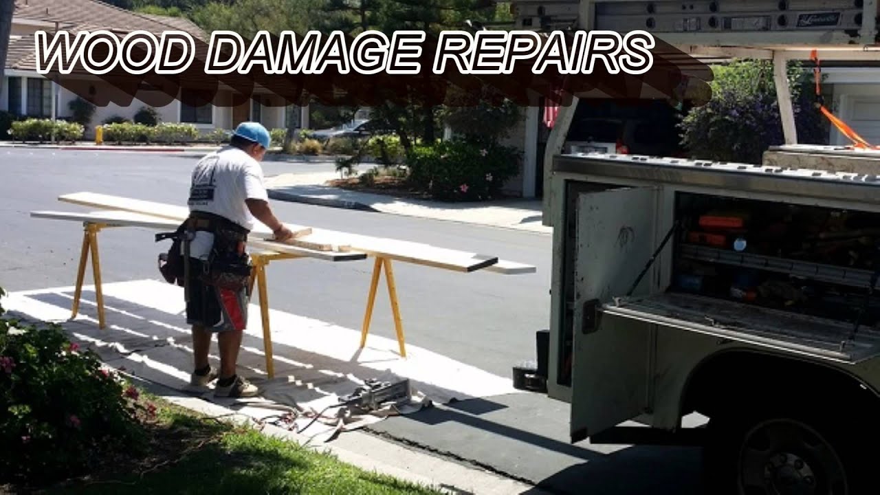 Termite Control Company Orange County, Inspections, Costa Mesa, Newport Beach