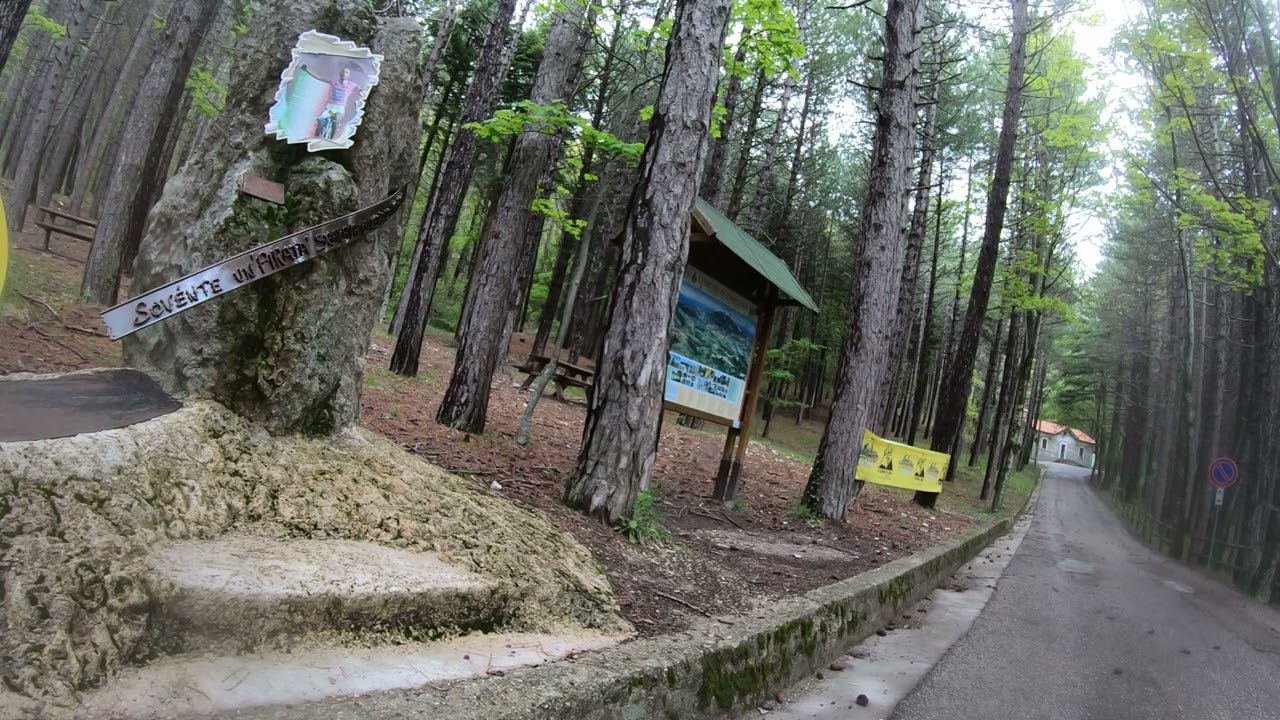 Marco Pantani. Road cycling/Climbing Monte Carpegna the training climb for Marco Pantani 4 of 7