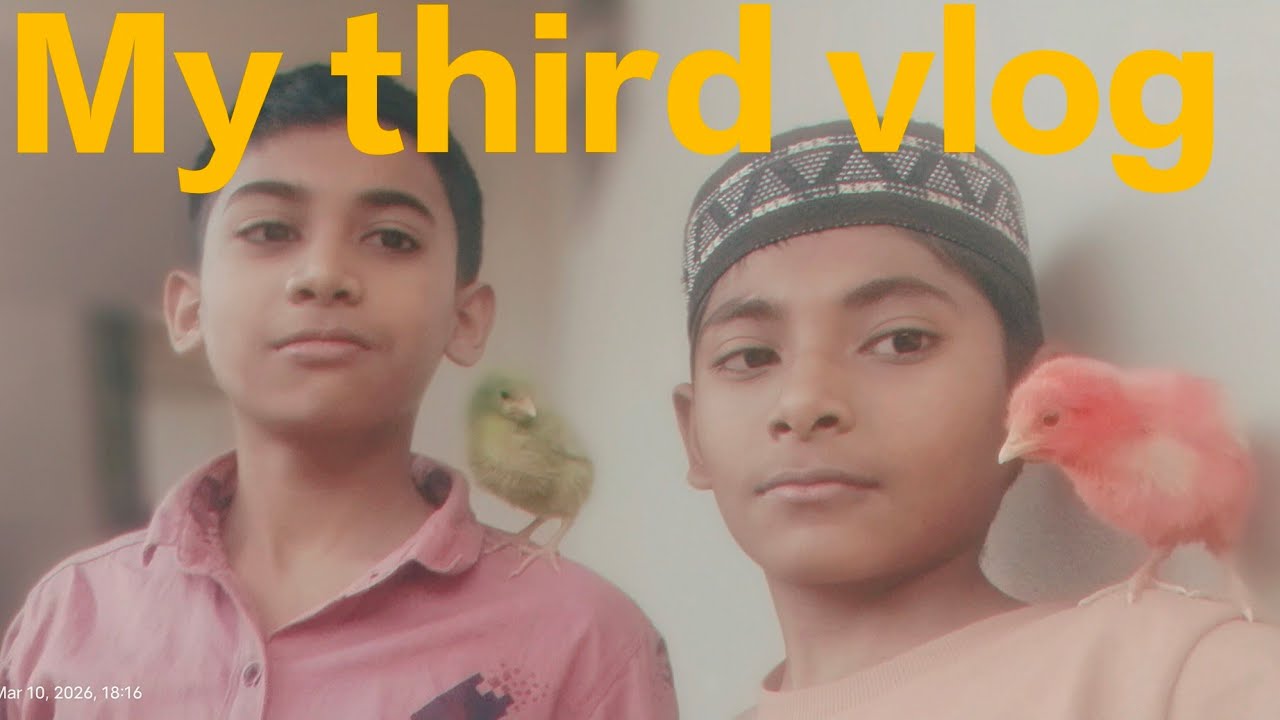This is my third vlog in this vlog you can see my chicks doing with me fun #vlogs #comedy 