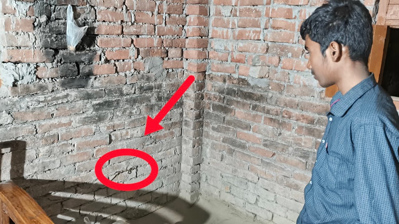 Itna bada snake kaha se aa gaya😱||