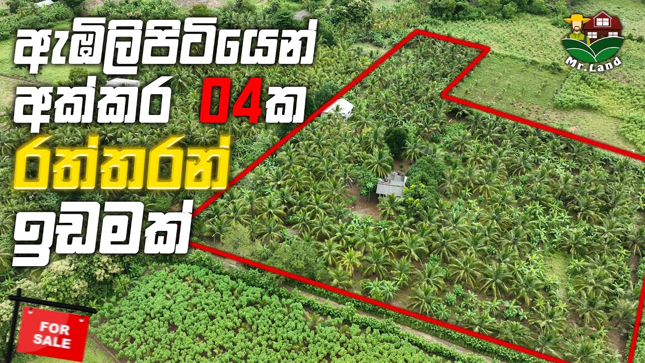 ඇඹිලිපිටියෙන් අක්කර 04ක රත්තරන් ඉඩම | Land For Sale In Embilipitiya