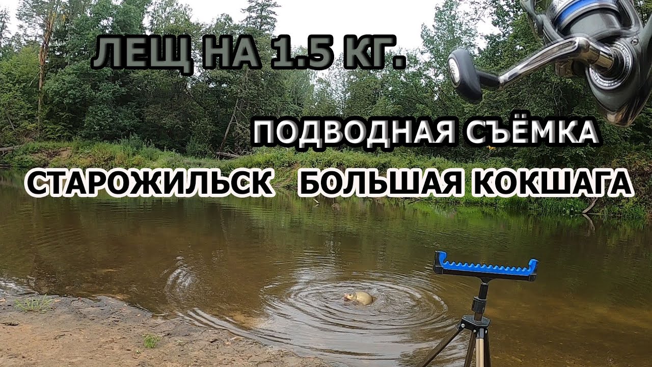 ЛОВЛЯ ЛЕЩА НА ФИДЕР В АВГУСТЕ 2021; ПОДВОДНАЯ СЪЁМКА ДНА РЕКИ