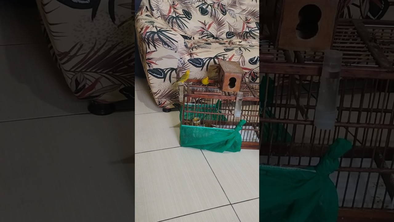 Dia 18/05 2025