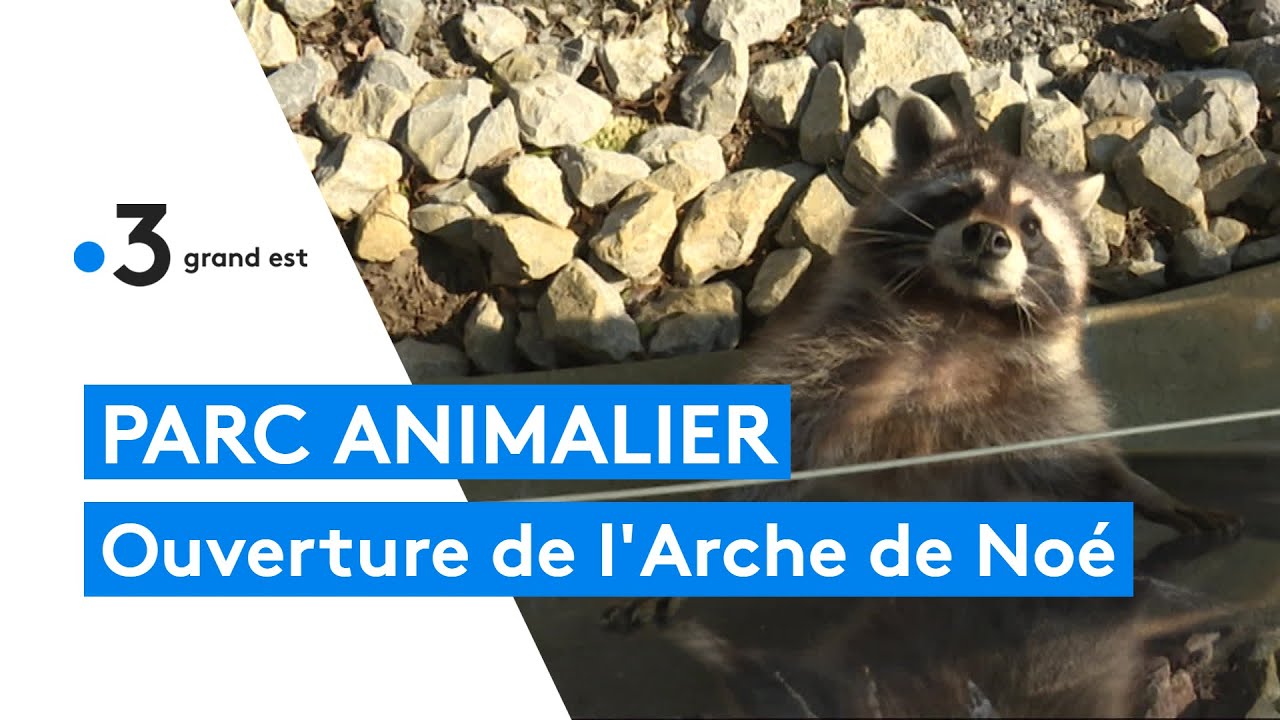 Ardennes : l'Arche de Noé, un parc animalier ouvert au public