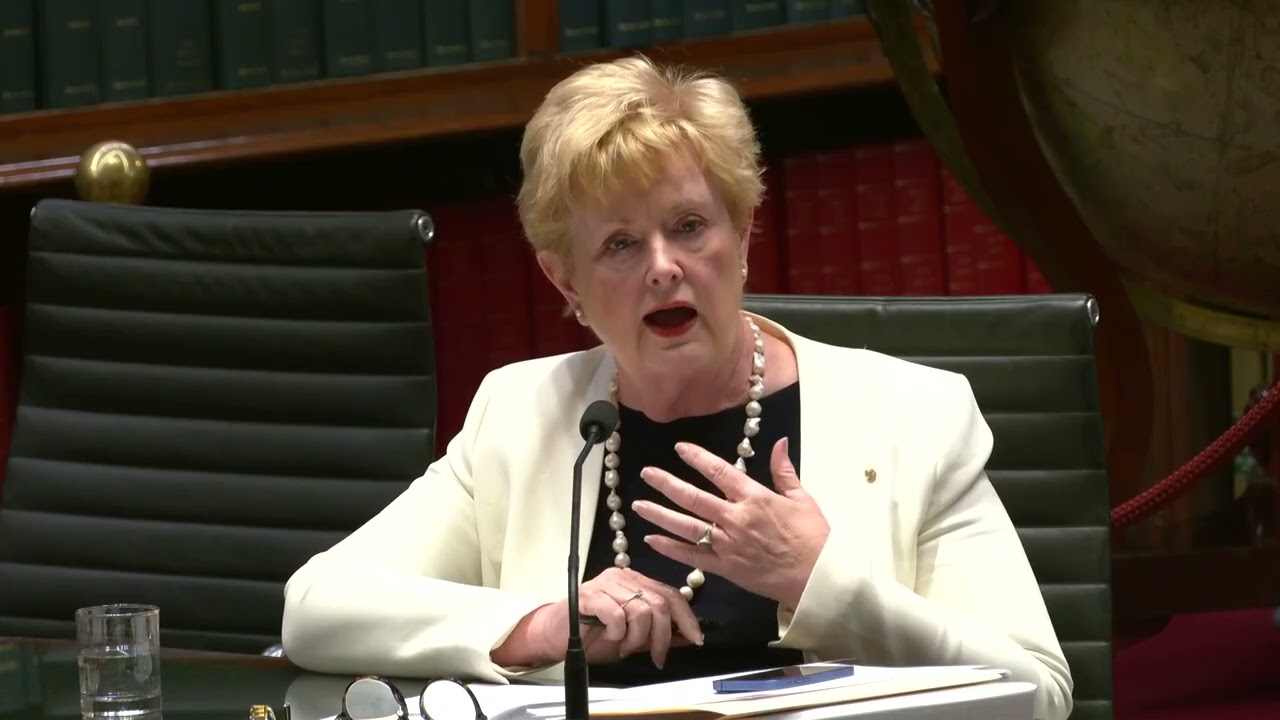 The Hon Susan Carter MLC raises questions about protections for Jewish students at Sydney University