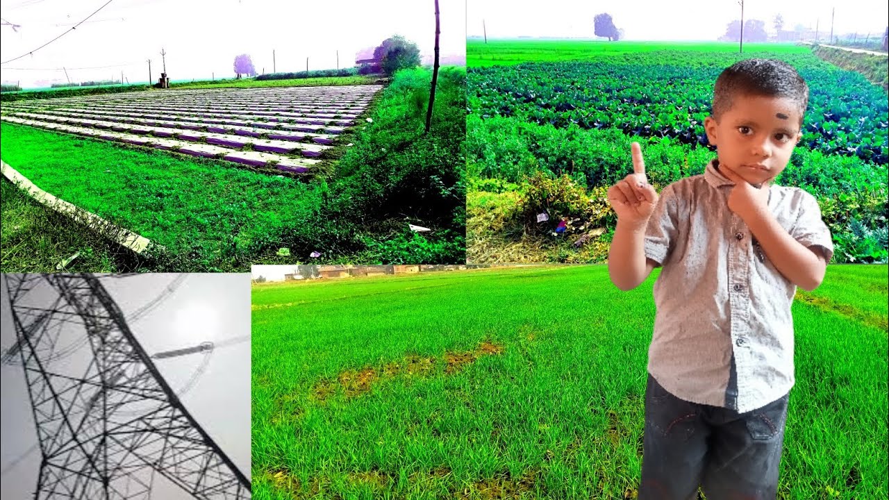 Indian Farmer Life 🌿 गाँव में ऐसी खेती करके कमाते हैं महिने का लाखों में ll Sejal Vlog 