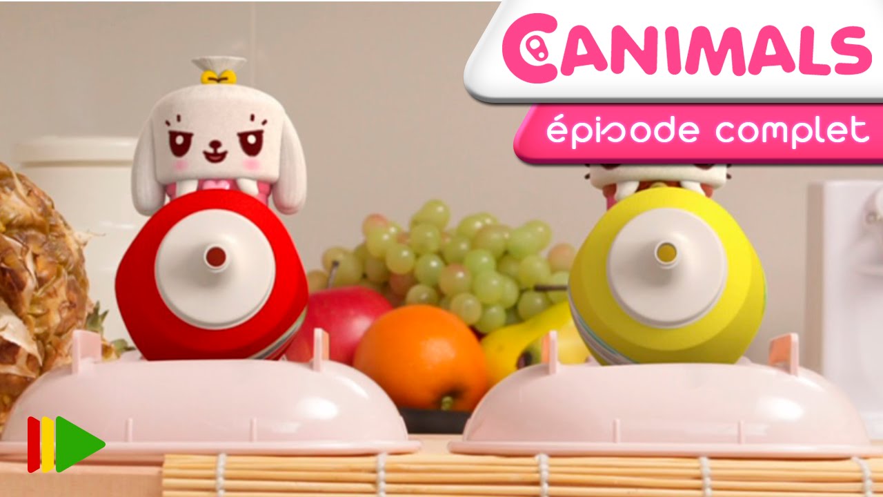 Canimals - 02 - Piscine privée