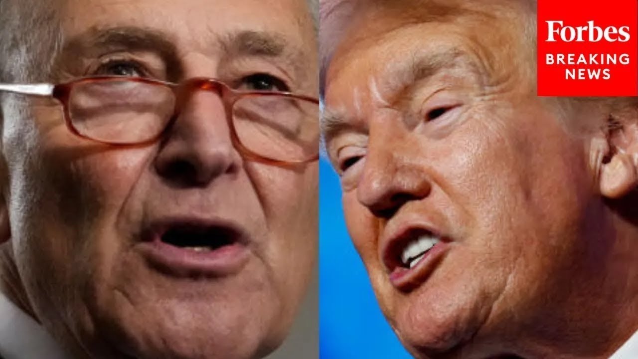 Schumer Blames Trump For 'Unproductive And Dysfunctional' House GOP Majority