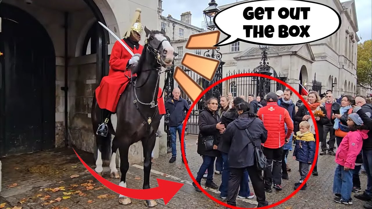 King’s Guard CHARGES Horse at Disrespectful Tourists at Horse Guard! 