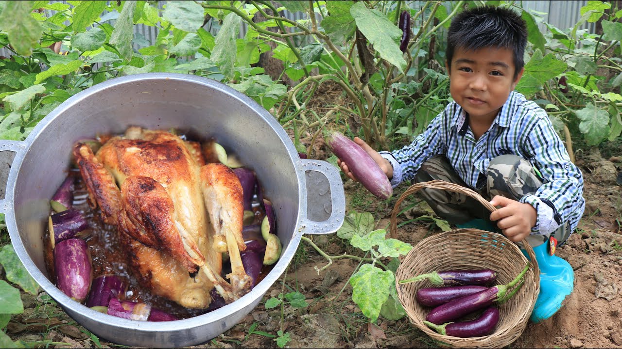 Little boy in countryside cook with confidence / Roasted chicken with eggplant cooking / Chef Seyhak